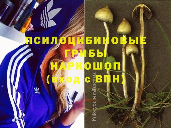 PSILOCYBIN Мегион