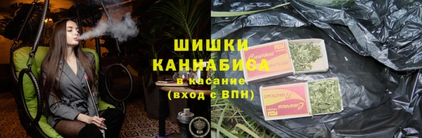 PSILOCYBIN Мегион