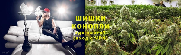 PSILOCYBIN Мегион