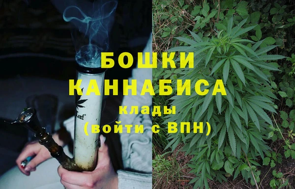 PSILOCYBIN Мегион