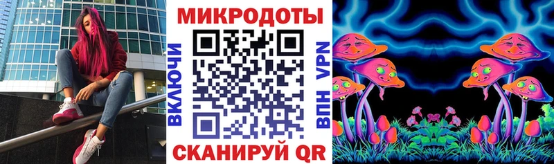 Купить закладки  Чехов  Псилоцибиновые грибы Psilocybine cubensis 